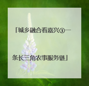 城乡融合看嘉兴③一条长三角农事服务链