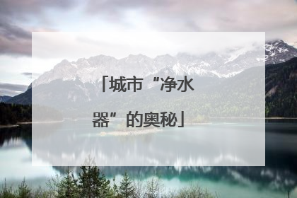 城市“净水器”的奥秘