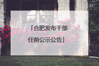 合肥发布干部任前公示公告