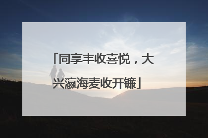 同享丰收喜悦，大兴瀛海麦收开镰