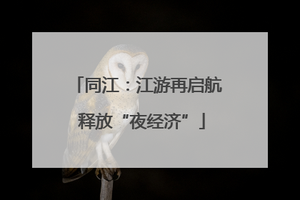 同江：江游再启航 释放“夜经济”