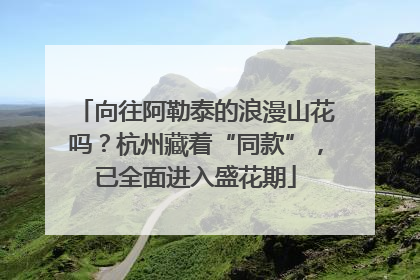 向往阿勒泰的浪漫山花吗？杭州藏着“同款”，已全面进入盛花期