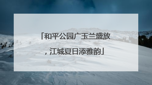 和平公园广玉兰盛放，江城夏日添雅韵