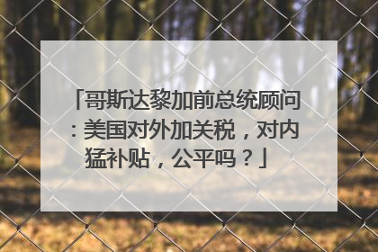 哥斯达黎加前总统顾问：美国对外加关税，对内猛补贴，公平吗？
