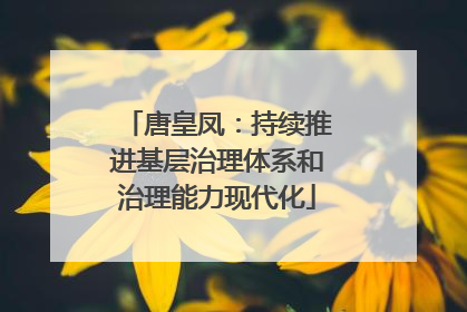 唐皇凤：持续推进基层治理体系和治理能力现代化