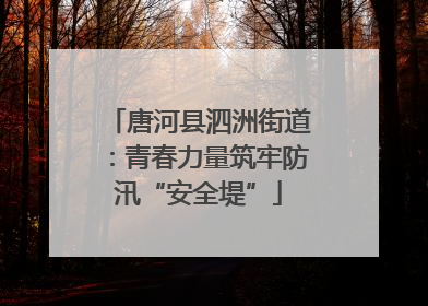唐河县泗洲街道：青春力量筑牢防汛“安全堤”