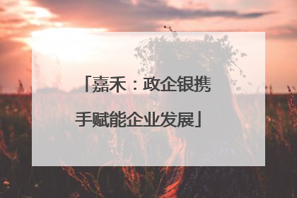 嘉禾：政企银携手赋能企业发展