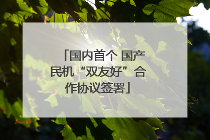 国内首个 国产民机“双友好”合作协议签署