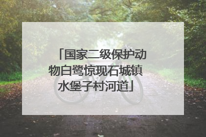 国家二级保护动物白鹭惊现石城镇水堡子村河道