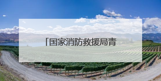 国家消防救援局青海机动队伍开展航空应急救援专项培训