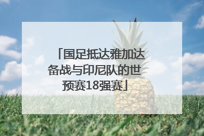 国足抵达雅加达备战与印尼队的世预赛18强赛