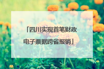 四川实现首笔财政电子票据跨省报销