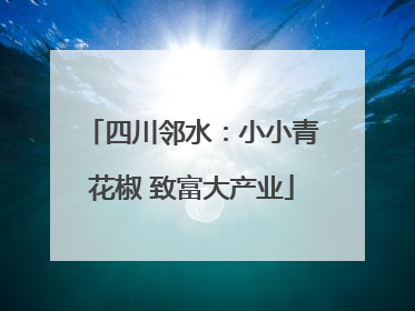 四川邻水：小小青花椒 致富大产业