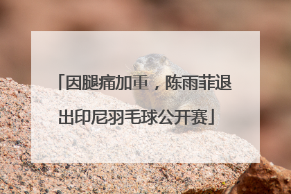 因腿痛加重，陈雨菲退出印尼羽毛球公开赛