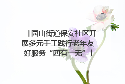 园山街道保安社区开展多元手工践行老年友好服务“四有一无”