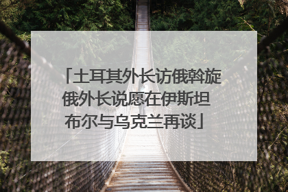 土耳其外长访俄斡旋 俄外长说愿在伊斯坦布尔与乌克兰再谈