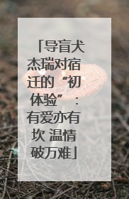导盲犬杰瑞对宿迁的“初体验”：有爱亦有坎 温情破万难