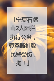 宁夏石嘴山2人阻拦执行公务，辱骂撕扯致民警受伤，拘！