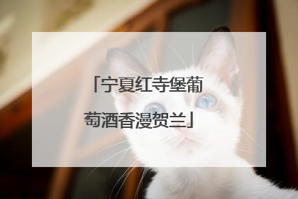 宁夏红寺堡葡萄酒香漫贺兰