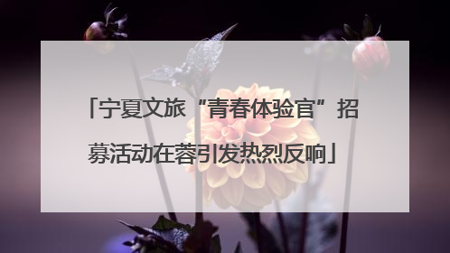 宁夏文旅“青春体验官”招募活动在蓉引发热烈反响
