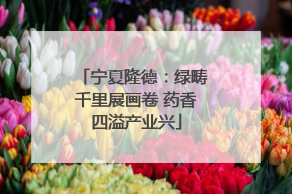 宁夏隆德：绿畴千里展画卷 药香四溢产业兴