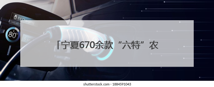 宁夏670余款“六特”农产品亮相农展馆 推动优质特色农产品“出宁进京”