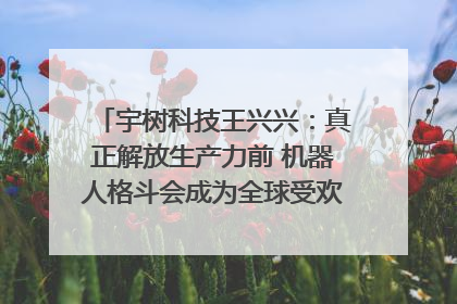 宇树科技王兴兴：真正解放生产力前 机器人格斗会成为全球受欢迎的赛事｜科技观察