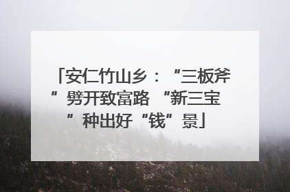 安仁竹山乡：“三板斧”劈开致富路 “新三宝”种出好“钱”景