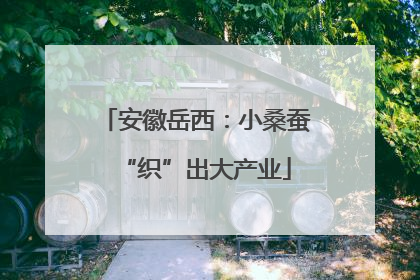安徽岳西：小桑蚕“织”出大产业