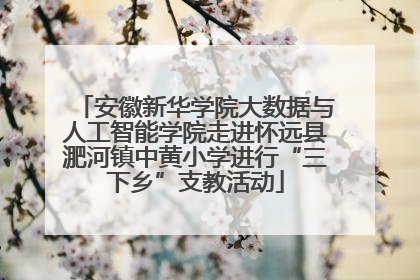 安徽新华学院大数据与人工智能学院走进怀远县淝河镇中黄小学进行“三下乡”支教活动