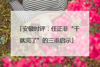安徽时评：任正非“干就完了”的三重启示