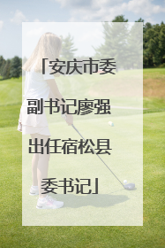 安庆市委副书记廖强出任宿松县委书记