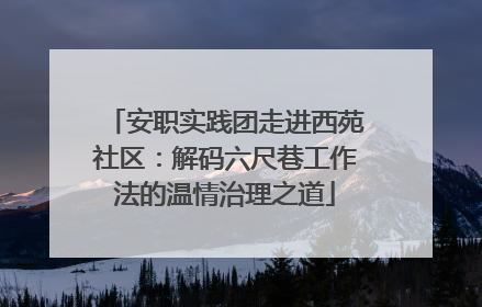 安职实践团走进西苑社区：解码六尺巷工作法的温情治理之道