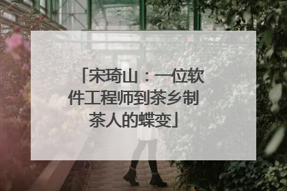 宋琦山：一位软件工程师到茶乡制茶人的蝶变