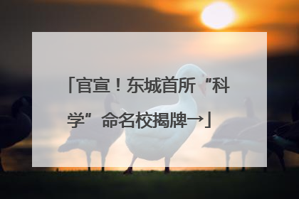 官宣！东城首所“科学”命名校揭牌→
