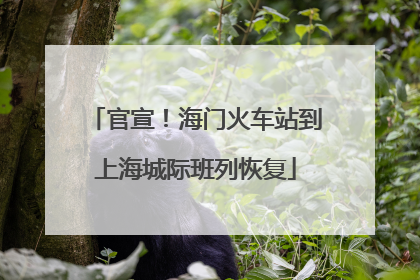 官宣！海门火车站到上海城际班列恢复