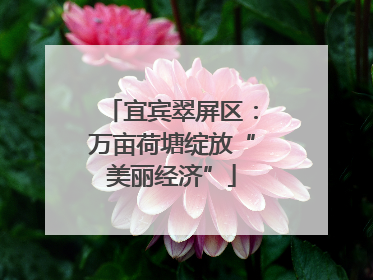 宜宾翠屏区：万亩荷塘绽放“美丽经济”