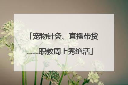 宠物针灸、直播带货……职教周上秀绝活