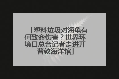塑料垃圾对海龟有何致命伤害？世界环境日总台记者走进开普敦海洋馆