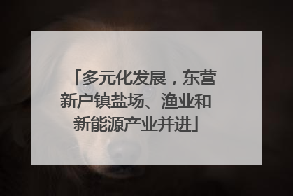 多元化发展，东营新户镇盐场、渔业和新能源产业并进
