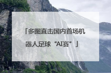 多图直击国内首场机器人足球“AI赛”