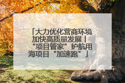 大力优化营商环境 加快高质量发展丨“项目管家”护航用海项目“加速跑”