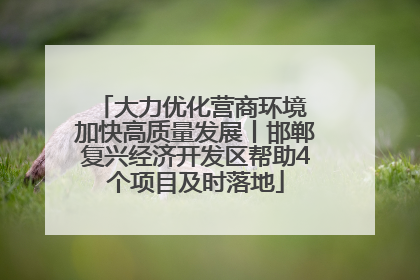 大力优化营商环境 加快高质量发展丨邯郸复兴经济开发区帮助4个项目及时落地