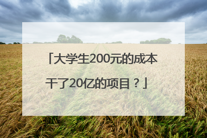 大学生200元的成本干了20亿的项目？