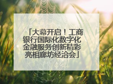 大幕开启！工商银行国际化数字化金融服务创新精彩亮相廊坊经洽会