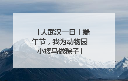 大武汉一日丨端午节，我为动物园小矮马做粽子