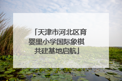 天津市河北区育婴里小学国际象棋共建基地启航