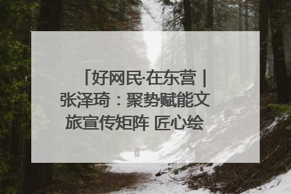 好网民·在东营｜张泽琦：聚势赋能文旅宣传矩阵 匠心绘就东营诗与远方