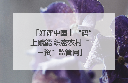 好评中国丨“码”上赋能 织密农村“三资”监管网