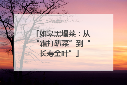 如皋黑塌菜：从“霜打趴菜”到“长寿金叶”